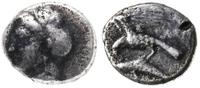 drachma IV w. pne, Aw: Głowa nimfy Sinope w lewo