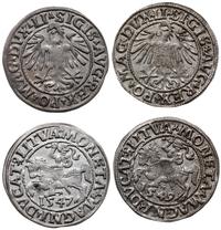zestaw półgroszy 1547 i 1549, Wilno, razem 2 szt