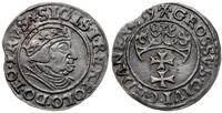 grosz 1539, Gdańsk, końcówka napisu PRVS, CNG 64