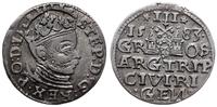 trojak 1583, Ryga, korona króla z rozetą, Iger R