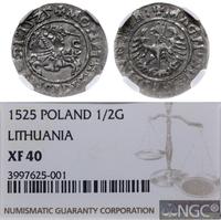 półgrosz 1525, Wilno, moneta w pudełku NGC z oce
