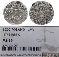 półgrosz 1550, Wilno, końcówki LI/LITVA, piękna 