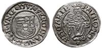 denar 1537 KB, Kremnica, pięknie zachowany, Husz