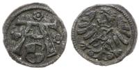 Prusy Książęce 1525-1657, denar, bez daty
