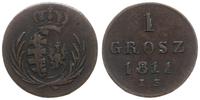 Polska, 1 grosz, 1811 IS