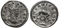Cesarstwo Rzymskie, antoninian, 264-265
