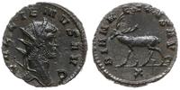 antoninian 267-268, Rzym, Aw: Popiersie cesarza 