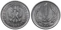 1 złoty 1965, Warszawa, piękne, Parchimowicz 213