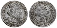 grosz 1262 ( 1626 ), Wilno, omyłkowa data, bardz