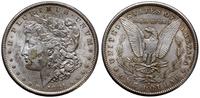 1 dolar 1881 S, San Francisco, typ Morgan, srebr