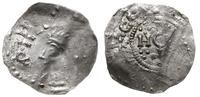 denar, Aw: Popiersie króla w lewo; Rw: W obwódce