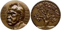 medal Józef Piłsudski 1917, medal (nowe bicie) a