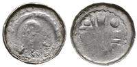 denar przed 1097, Wrocław, Głowa z najeżonymi wł