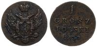 1 grosz polski  1830 FH, Warszawa, Bitkin 1059, 