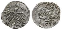 denar 1556, Wilno, małe cyfry daty, ładnie zacho