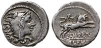 denar  105 pne, Rzym, Aw: Głowa Juno Sospity nak