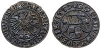 Prusy Książęce 1525-1657, szeląg, 1557