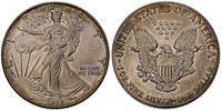 1 dolar 1986, srebro 31.30 g, patyna