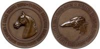 Rosja, medal Towarzystwa Zachęty Do Polowań Z Psami Myśliwskimi I Innych Form Myśliwstwa, (1896)