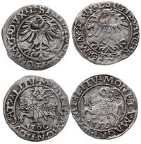 Polska, 2 x półgrosz, 1559 i 1560