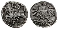 denar 1559, Wilno, rzadki rocznik w ładnym stani