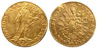 dwudukat 1782, Kremnica, złoto 6.92 g
