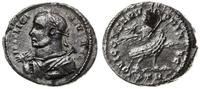 Cesarstwo Rzymskie, argenteus, 308-324