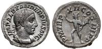 denar 233, Rzym, Aw: głowa cesarza w prawo, IMP 