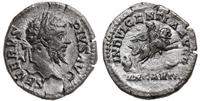 denar 203, Rzym, Aw: Głowa cesarza w prawo, SEVE