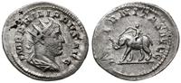 denar 247-249, Rzym, Aw: Głowa cesarza w prawo i