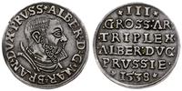 trojak 1538, Królewiec, krótka broda księcia Alb