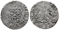 Polska, półgrosz koronny, ok. 1416-1422