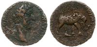 AE-23  184, Rzym, brąz, ciekawa moneta z wizerun