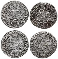 Polska, zestaw: 2 x półgrosz, 1549, 1551