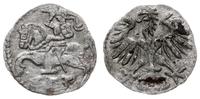 Polska, denar, 1553