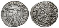 denar 1528 KB, ładnie zachowany, Huszar 935