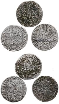 zestaw trzech półgroszy 1547, 1548 i 1550, Wilno