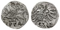 denar 1554, Wilno, ładny, Cesnulis-Ivanauskas 2S
