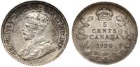5 centów 1920, srebro '800', moneta w pudełku fi