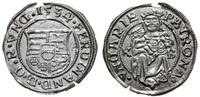 denar 1534 KB, Kremnica, srebro 0.50 g, małe wyk