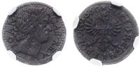 szeląg 1660 TLB, Ujazdów, moneta w pudełku NGC z