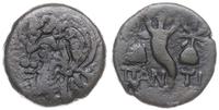 brąz 150-120 pne, Aw: Głowa satyra w lewo; Rw: R