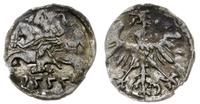 denar 1555, Wilno, Ivanauskas 2SA13-6, Kop. 3213