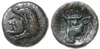brąz IV-III w. pne, Aw: Głowa Satyra w lewo, Rw: