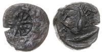 brąz IV-III w. pne, Aw: Głowa w lewo, na niej ko