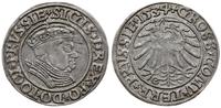 grosz 1534, Toruń, popiersie w czepcu i koronie,
