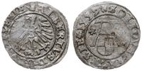szeląg 1557, Królewiec, Slg. Marienburg 1217, Vo
