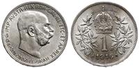 1 korona 1916, Wiedeń, piękna, Herinek 806