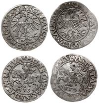 Polska, zestaw: 2 x półgrosz, 1556, 1559