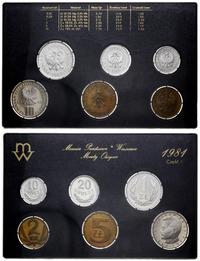 zestaw rocznikowy monet obiegowych 1981, Warszaw